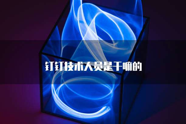 钉钉技术人员是干嘛的