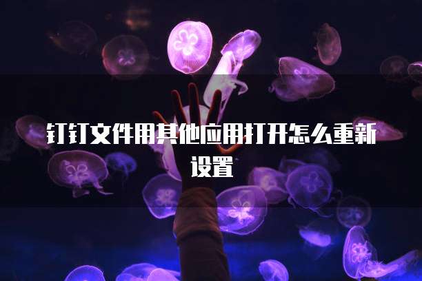 钉钉文件用其他应用打开怎么重新设置