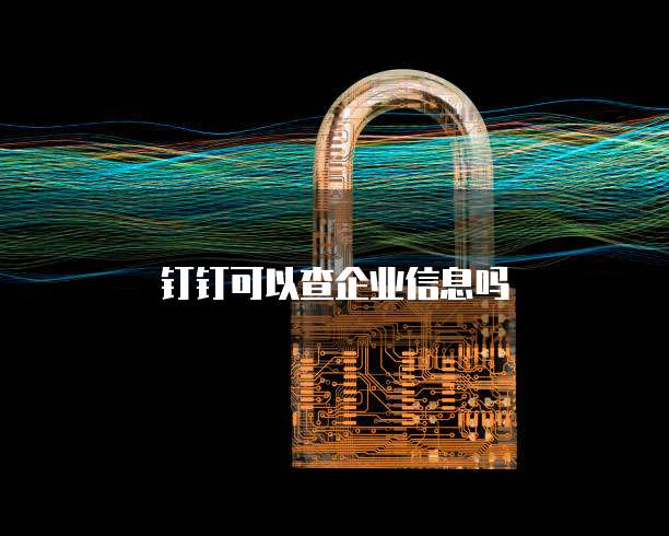 钉钉可以查企业信息吗