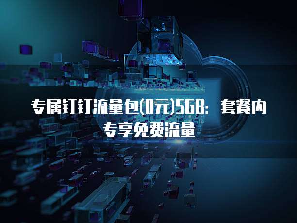 专属钉钉流量包(0元)5GB：套餐内专享免费流量