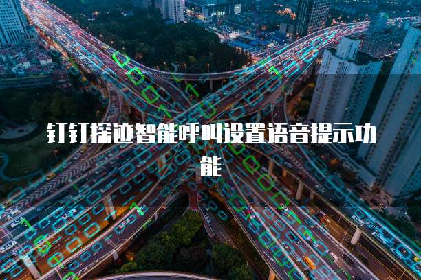 钉钉探迹智能呼叫设置语音提示功能