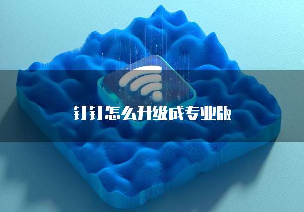 钉钉怎么升级成专业版