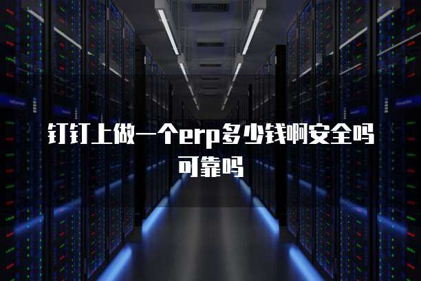 钉钉上做一个erp多少钱啊安全吗可靠吗