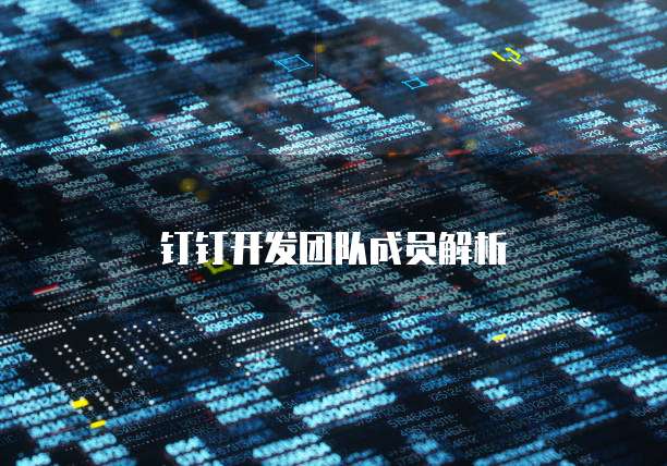 钉钉开发团队成员解析