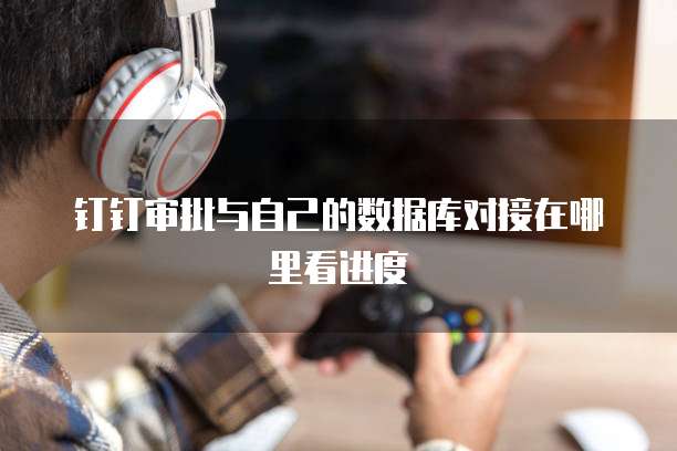钉钉审批与自己的数据库对接在哪里看进度