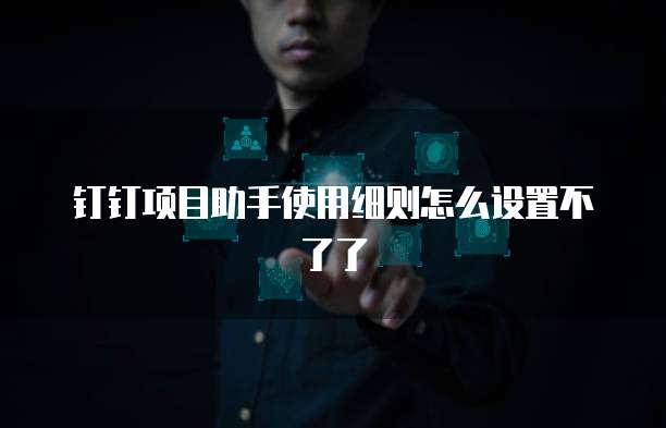 钉钉项目助手使用细则怎么设置不了了