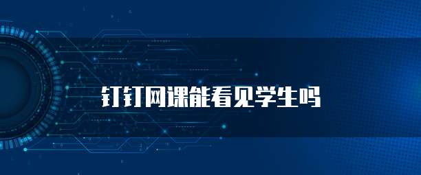 钉钉网课能看见学生吗