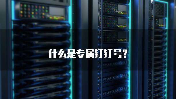 什么是专属钉钉号？