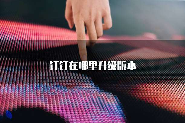 钉钉在哪里升级版本