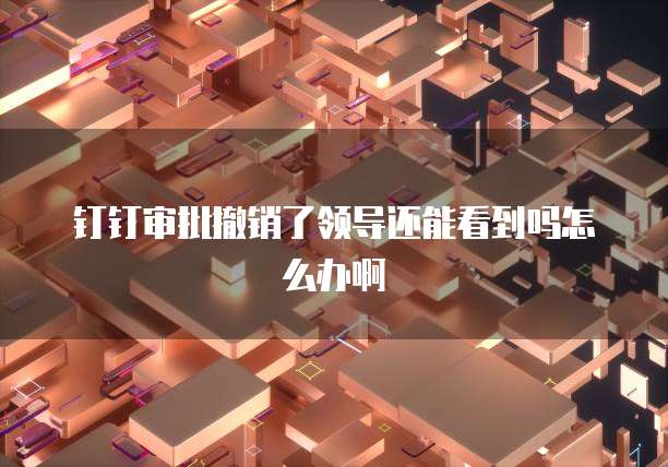 钉钉审批撤销了领导还能看到吗怎么办啊