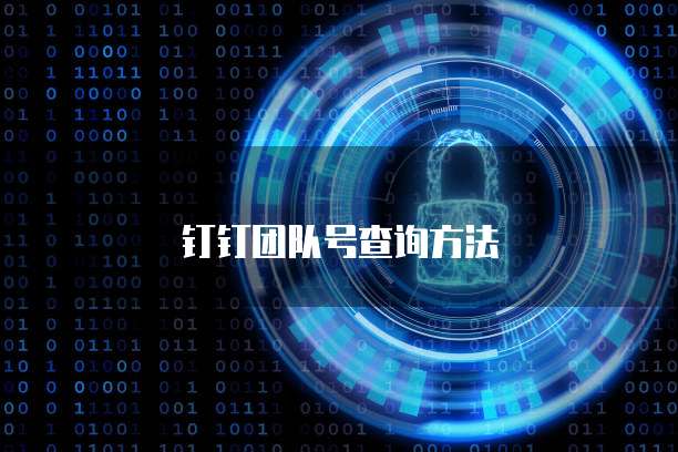 钉钉团队号查询方法