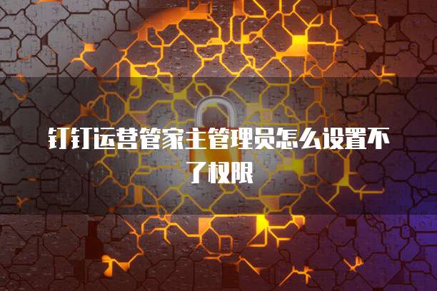 钉钉运营管家主管理员怎么设置不了权限