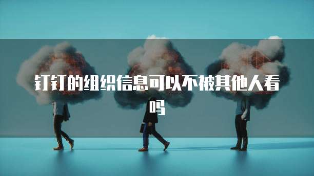 钉钉的组织信息可以不被其他人看吗
