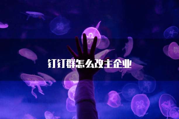 钉钉群怎么改主企业