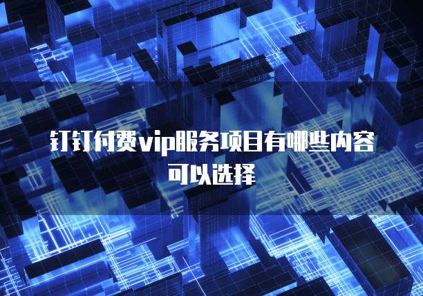 钉钉付费vip服务项目有哪些内容可以选择