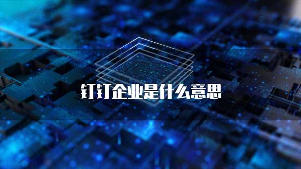 钉钉企业是什么意思