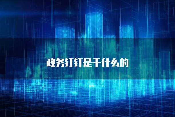 政务钉钉是干什么的
