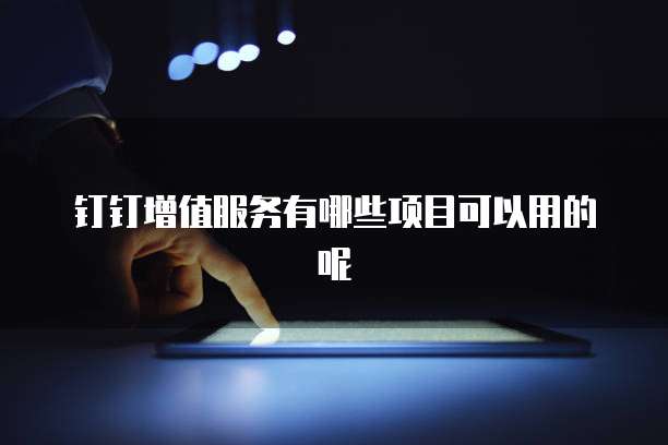 钉钉增值服务有哪些项目可以用的呢