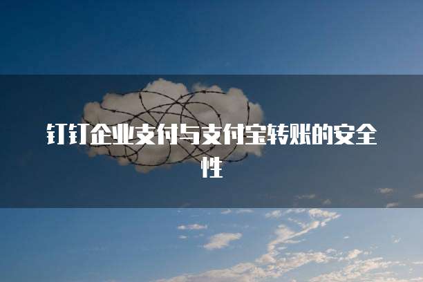 钉钉企业支付与支付宝转账的安全性
