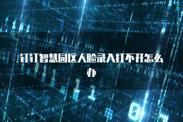 钉钉智慧园区人脸录入打不开怎么办