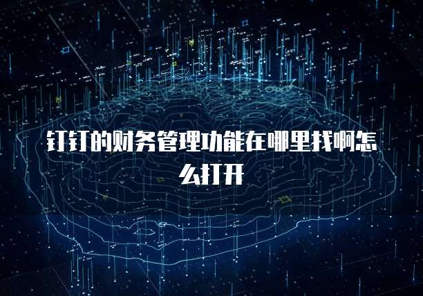 钉钉的财务管理功能在哪里找啊怎么打开