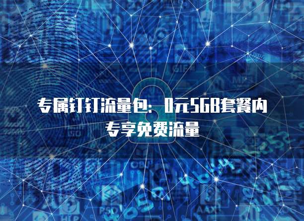 专属钉钉流量包：0元5GB套餐内专享免费流量