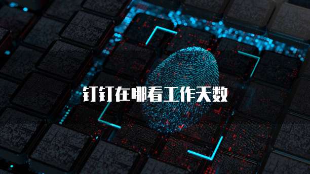 钉钉在哪看工作天数
