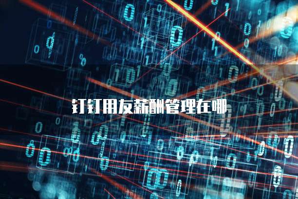钉钉用友薪酬管理在哪