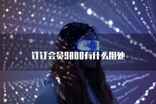 钉钉会员9800有什么用处