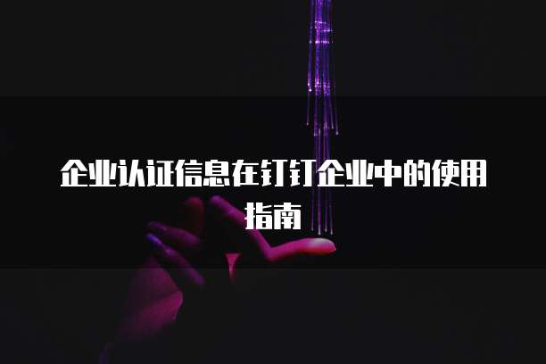 企业认证信息在钉钉企业中的使用指南