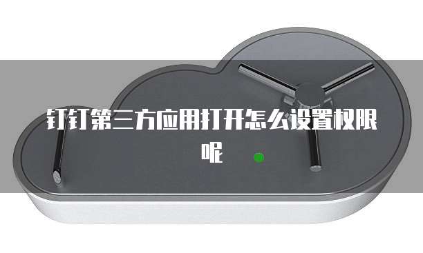 钉钉第三方应用打开怎么设置权限呢