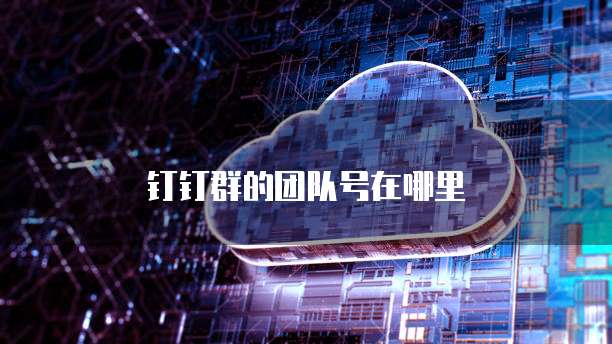 钉钉群的团队号在哪里