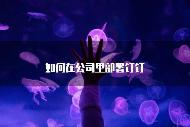 如何在公司里部署钉钉
