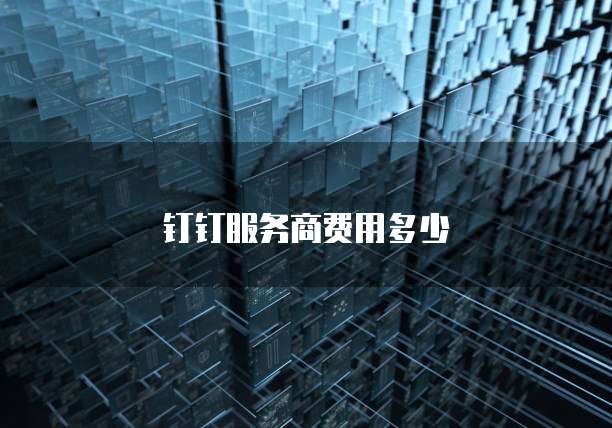 钉钉服务商费用多少