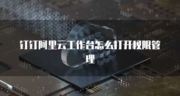 钉钉阿里云工作台怎么打开权限管理