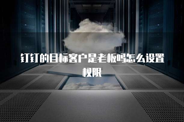 钉钉的目标客户是老板吗怎么设置权限