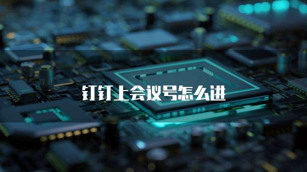 钉钉上会议号怎么进