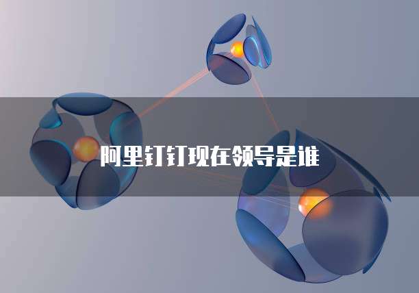 阿里钉钉现在领导是谁