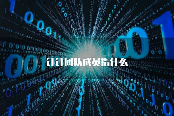 钉钉团队成员指什么
