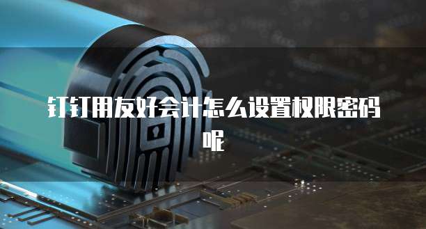 钉钉用友好会计怎么设置权限密码呢