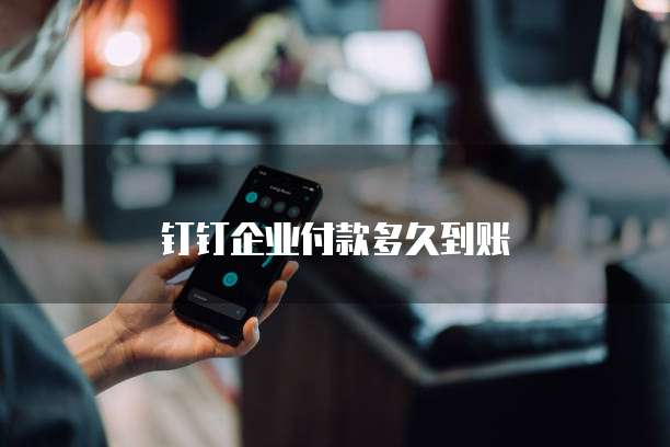 钉钉企业付款多久到账