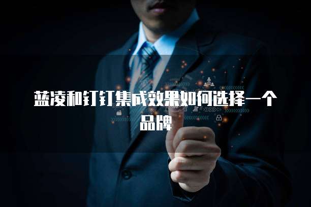 蓝凌和钉钉集成效果如何选择一个品牌