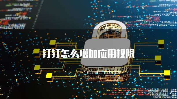 钉钉怎么增加应用权限