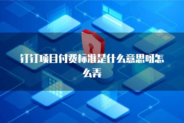 钉钉项目付费标准是什么意思呀怎么弄