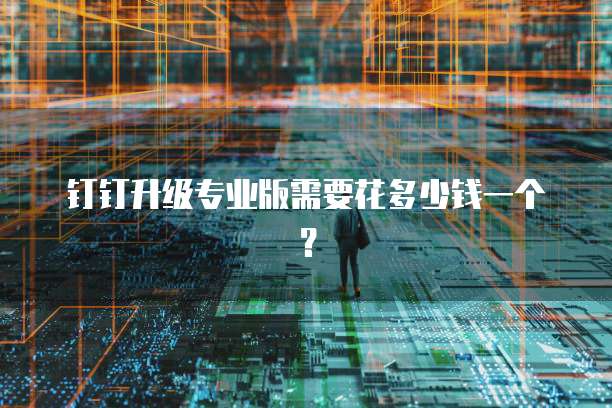 钉钉升级专业版需要花多少钱一个？