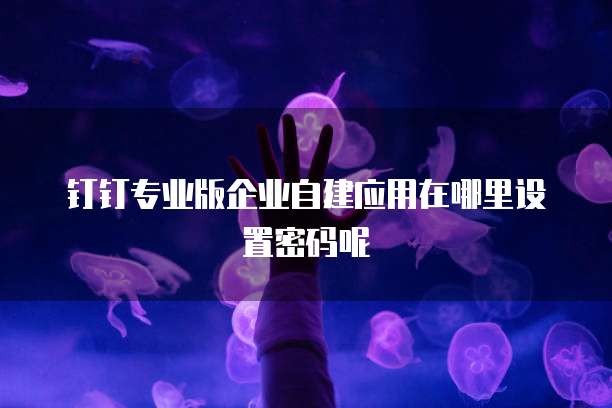 钉钉专业版企业自建应用在哪里设置密码呢