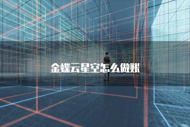 金蝶云星空怎么做账