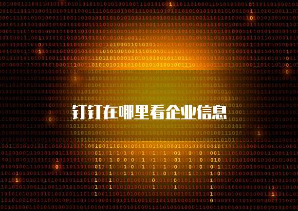 钉钉在哪里看企业信息