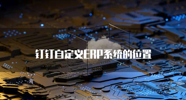钉钉自定义ERP系统的位置