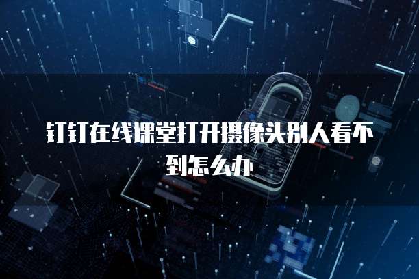 钉钉在线课堂打开摄像头别人看不到怎么办